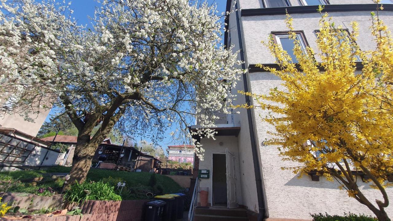 Schoene Aussicht, Wallbox, 70Qm, Kontaktloser Check-In Eisenach Eksteriør bilde